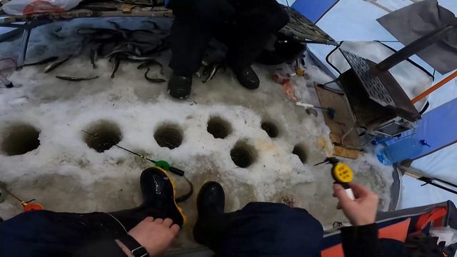 Луда 28.12.2024 самый отличный клев наваги. #луданавага