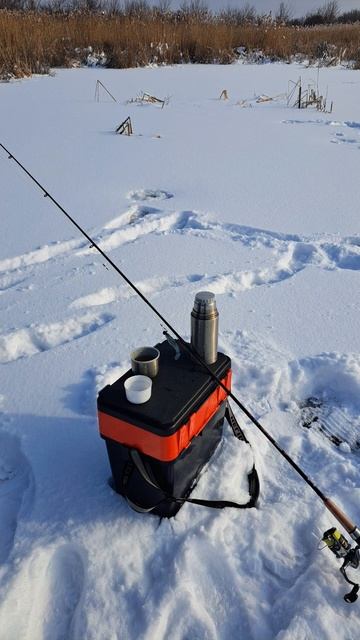 Наша река Воронеж #рыбалка #fishing #приманки #щука