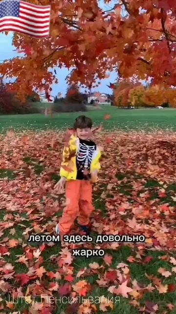 "🧓В Америке живу хорошо, купаюсь в океане,мои дети тут