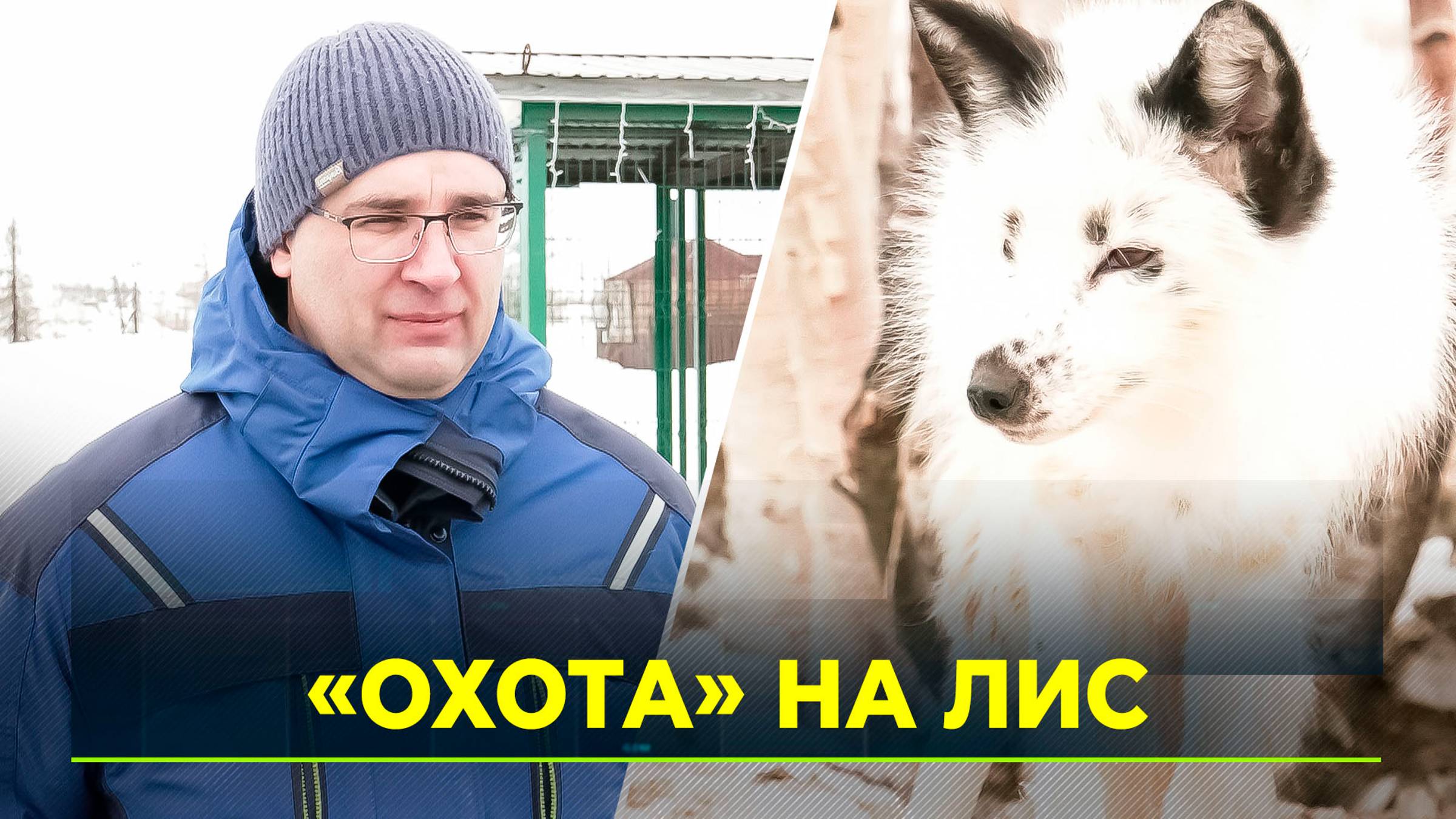 Окружные ветеринары начали вакцинацию животных в зоопарках