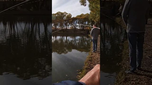 КАК Я ФОРЕЛЬ ЛОВИЛ🐟😄 #рыбалка #fishing #спиннинг #форель