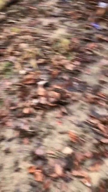 Рыбалка на усача #рыбалка #shortsvideo #чечня #клев #поплавок