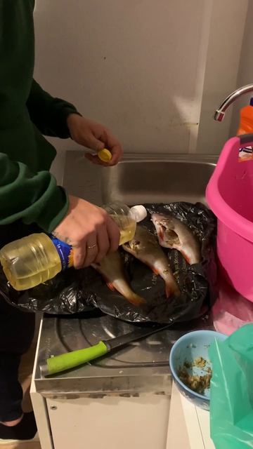Коптим окуня часть 2🎣☺️😉💥#коптилка #копченаярыба #