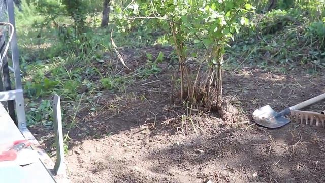 Забор из профлиста своими руками.