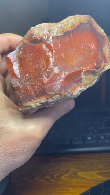 video5267037309844355286