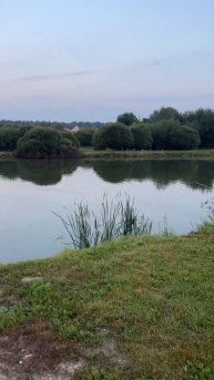 У Юры клюнул толстолоб #fishing #карп #carpfish #carpfishing #fish