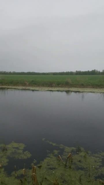 река "Самарка". #рыбалка #fishing