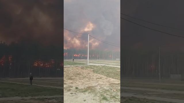 ⚡️Страшные кадры из Амурской области — лесной пожар вплотную приблизился к космогородку.