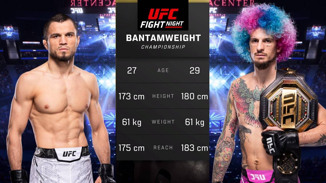 Умар Нурмагомедов против Шона О'Мэлли - UFC 5