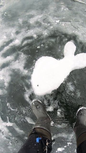 Огромный карась😁 #рыбалка #fishing #рыбалыч #snow #карась #ю?