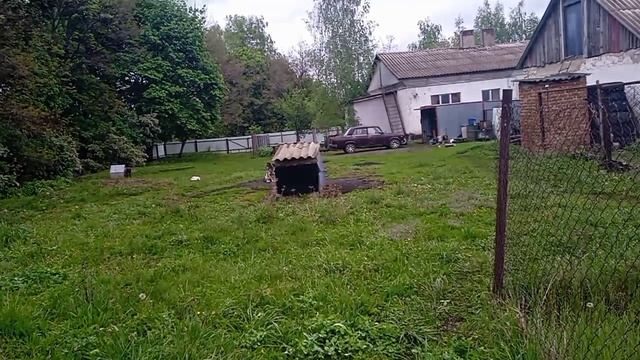 Клещ ко мне присосался