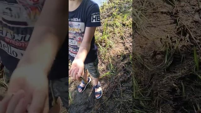 Трофей в День Рыбака! #рыбалка #рыбалкавсибири