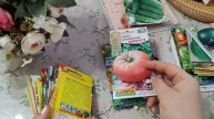 Какие сорта семян сажать в огороде часть (6)
