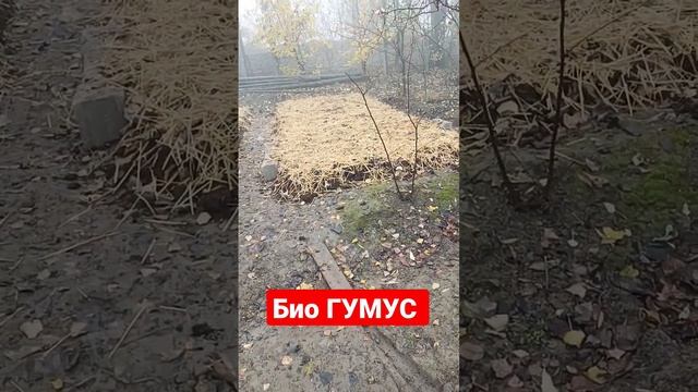 #биогумус Бизнес бошла Кургонтепа