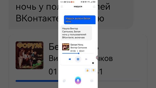 белая ночь 🌃