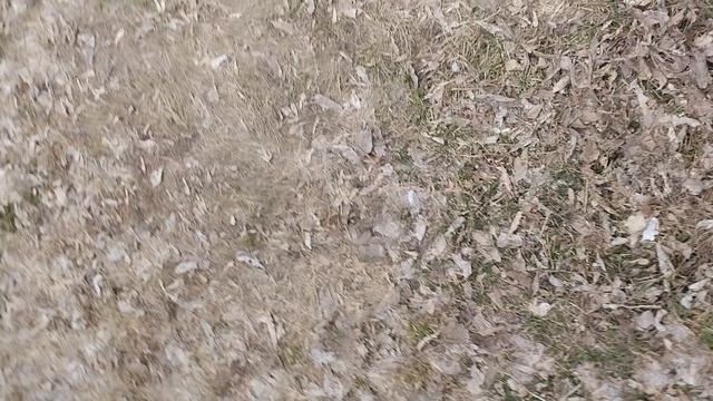 мы нашли монстра с другом