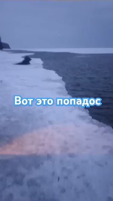 5 января 2025 г.