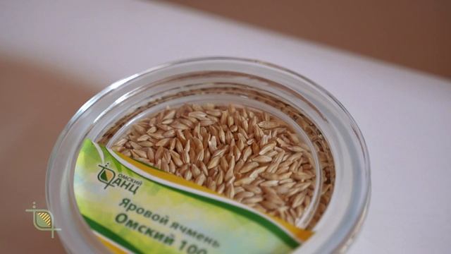Омский АНЦ: будущее растёт здесь