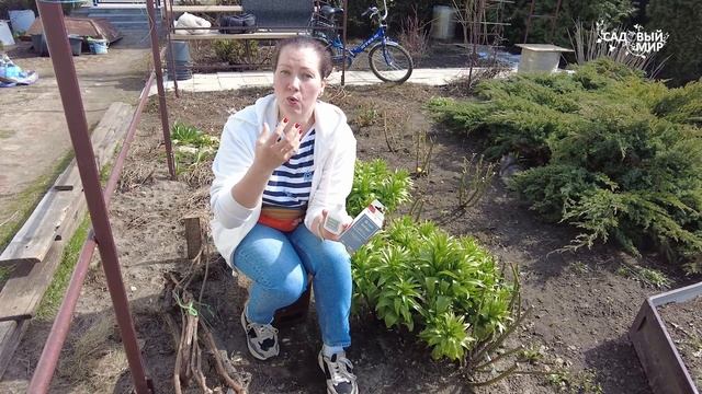 ЧТОБЫ НЕ ОСЫПАЛАСЬ ЗАВЯЗЬ ВИНОГРАДА - УРОЖАЙ ЗАВАЛИТ!  ВЫРАЩИВАНИЕ ВИНОГРАДА