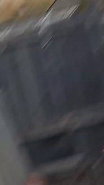 Осень воробьи бузина