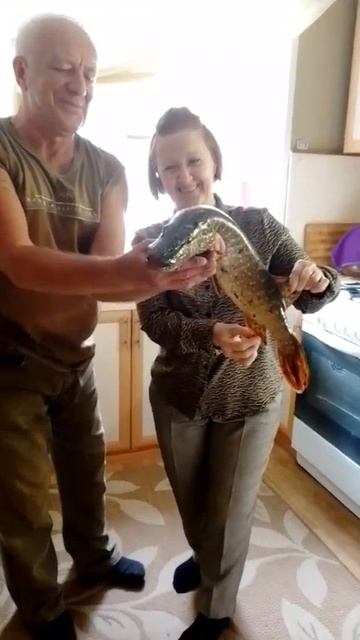 Вот такую щуку поймали в реке Кама