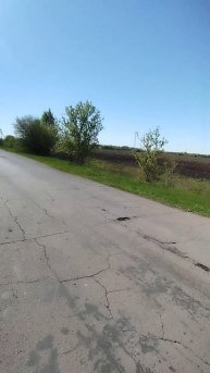 Мое утро. Бег
