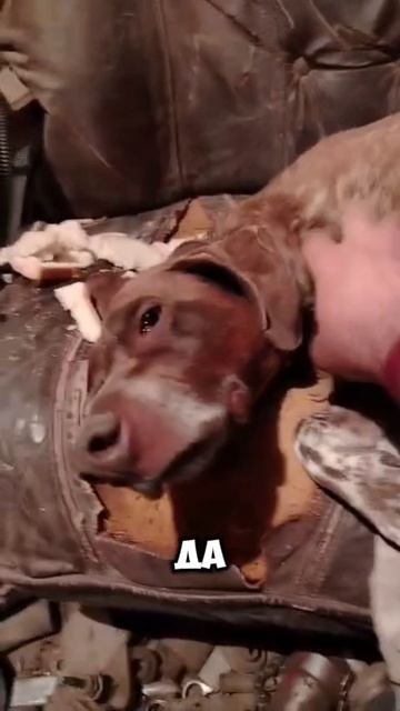 Сладких снов #жиза #влог #повседневнаяжизнь #личность #обновление