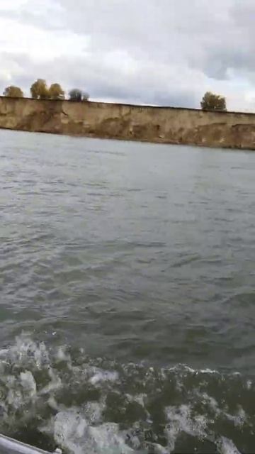 сузун(2)