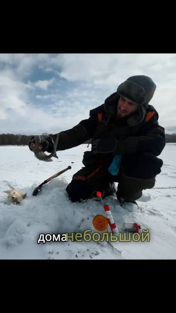 НЕ жадничайте!  #рыбалка #fishing #лещ #наводе