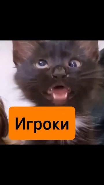 #выезднойлазертаг #деньрождения #lazertag #дети