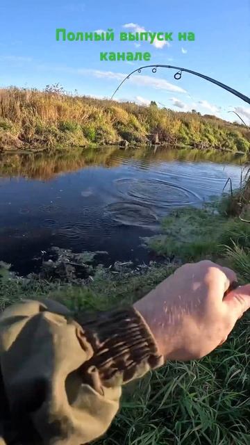 Рыбалка в ручье!