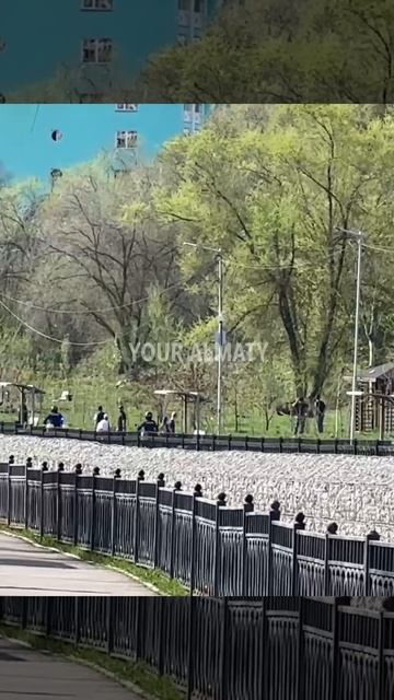 Погоню за мопедом сняли на видео в Алматы.