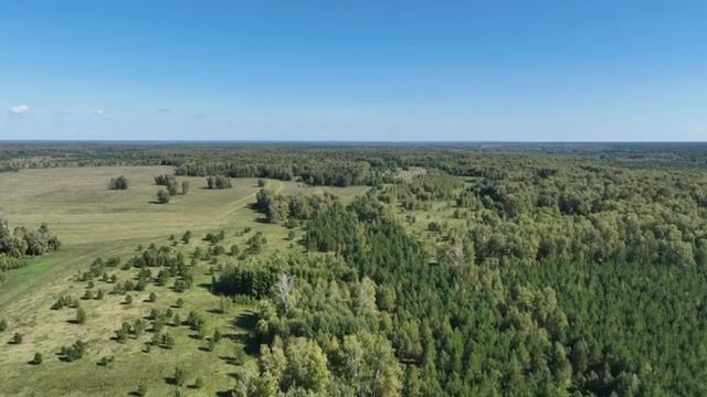 Продам земельный участок в селе Фирсово, микрорайон Рублевка! Алтайский край