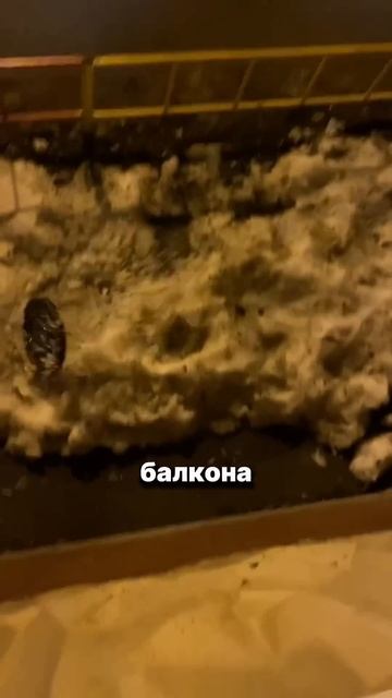 Скинул 10 килограммов 👍 #артурсафин #вызовпринят