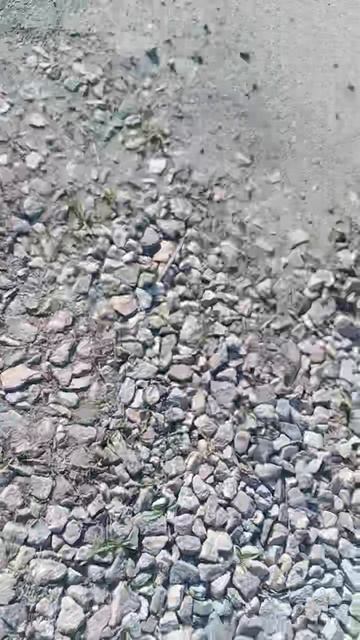 video_20250416_160342