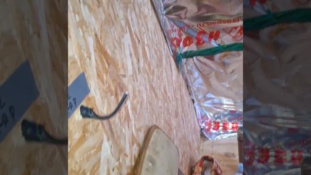 1000023642.mp4 (Собака смотрит на электроснабжение нового дома А-фрейм)