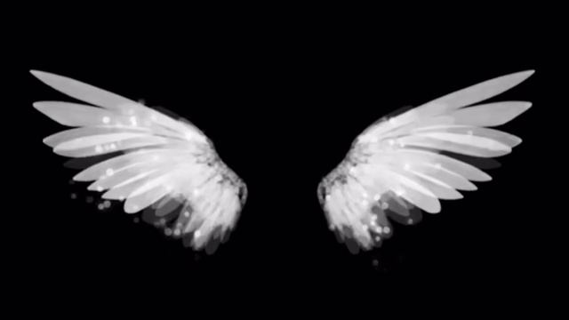 angel футаж
