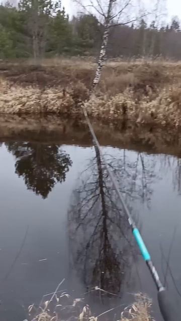 Одно место в разное время. Рыбалка