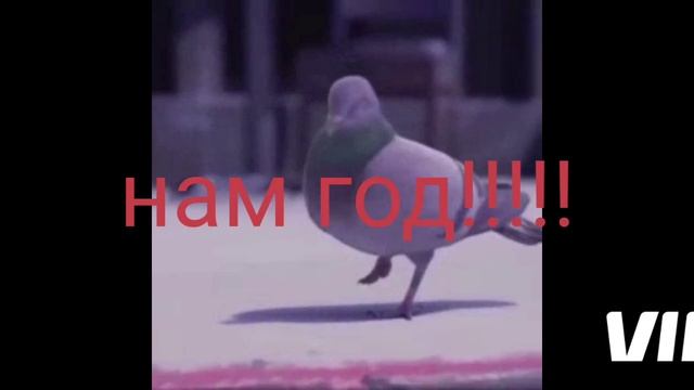 вас уже 30 подписчиков🥰🥰🥰