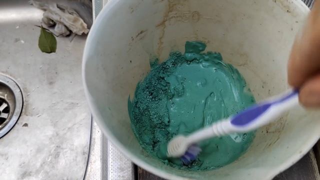 Спасаем абрикос и ждём, когда можно занырнуть в бассей