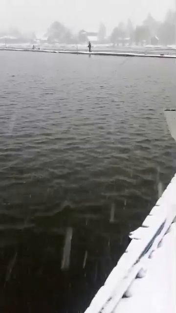 РК Три Пескаря!Video 2024 11 23 at 09 25 23