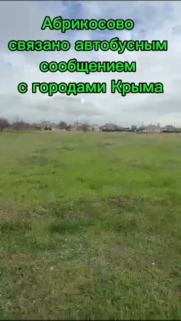 WhatsApp Video 2025-05-13 at 11.40.17