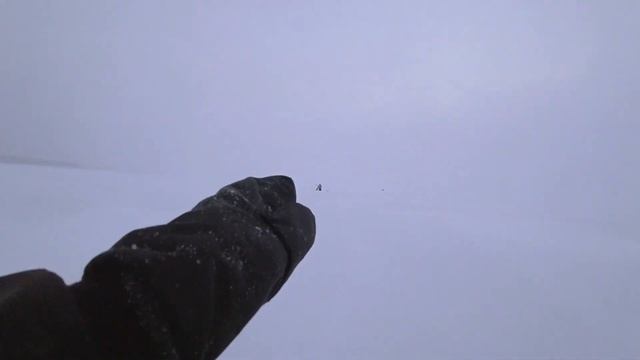 Секрет генеральского балансира