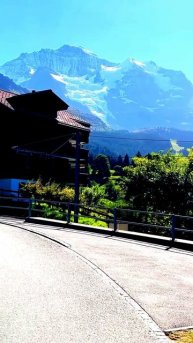 Камера поймала самую редкую секунду