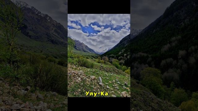 1000043698.mp4