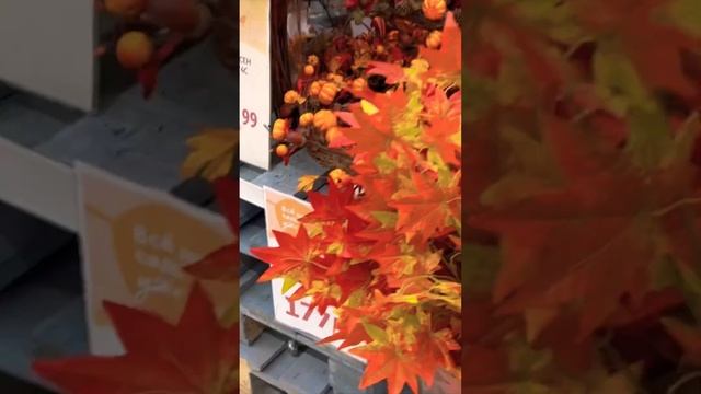 🔥НОВИНКИ АШАН ОСЕНЬ🍁🍂 #обзор