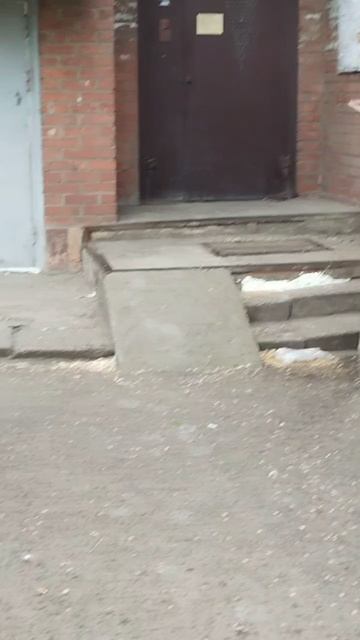 Хорошо, что неравнодушная женщина не осталась в стороне и начала бить тревогу.