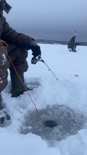 Безрыбный день 😁 #fishing #карелия #рыбалка