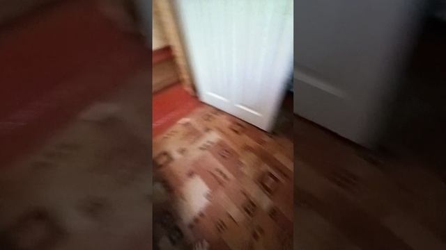 1000005342.mp4