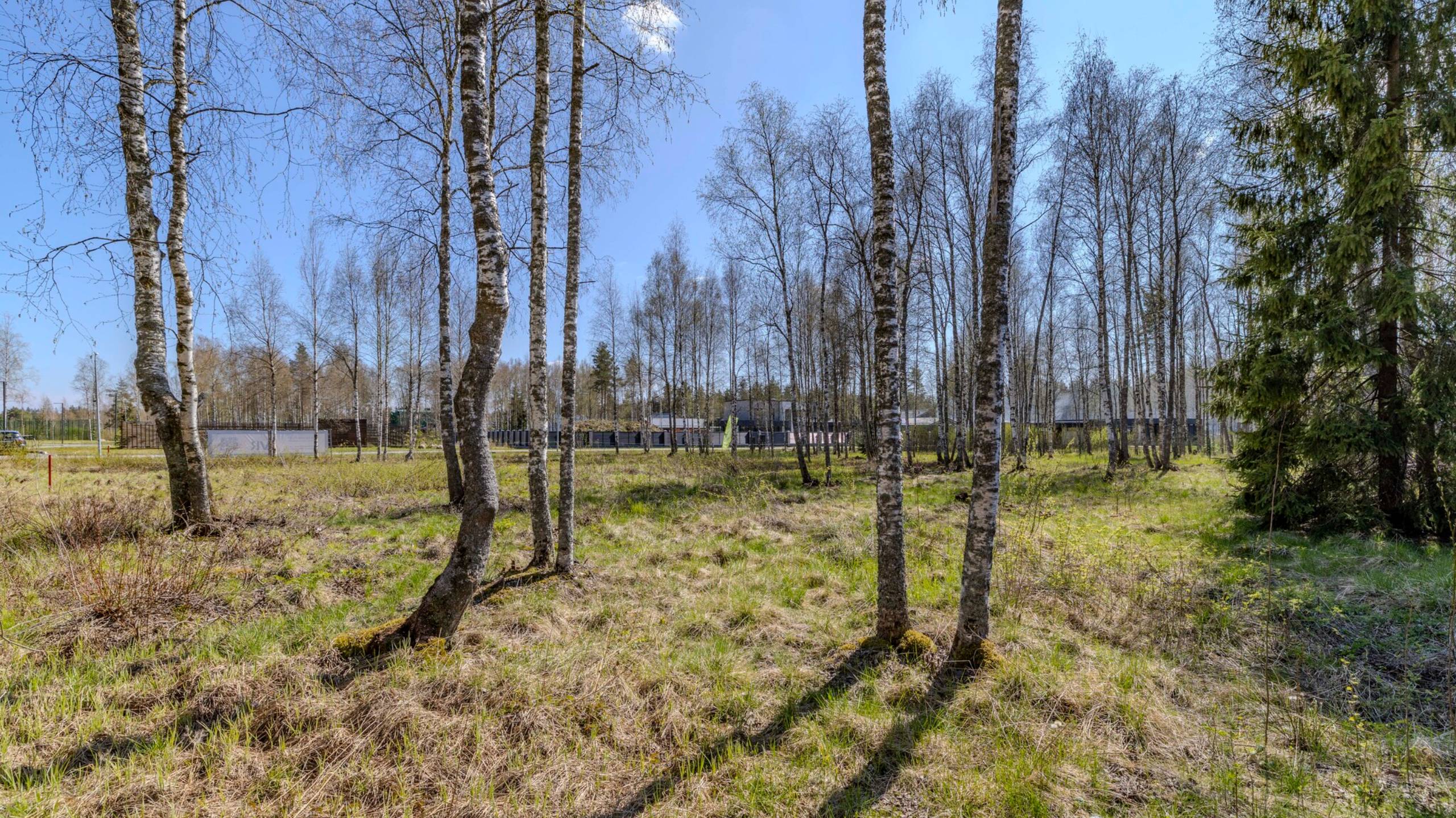 Участок 27 соток в КП "Репино Парк" (№419)